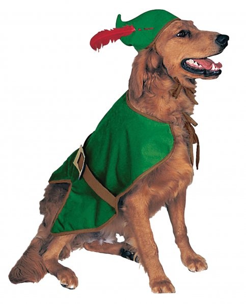 Robin Hood: Pup in Tights